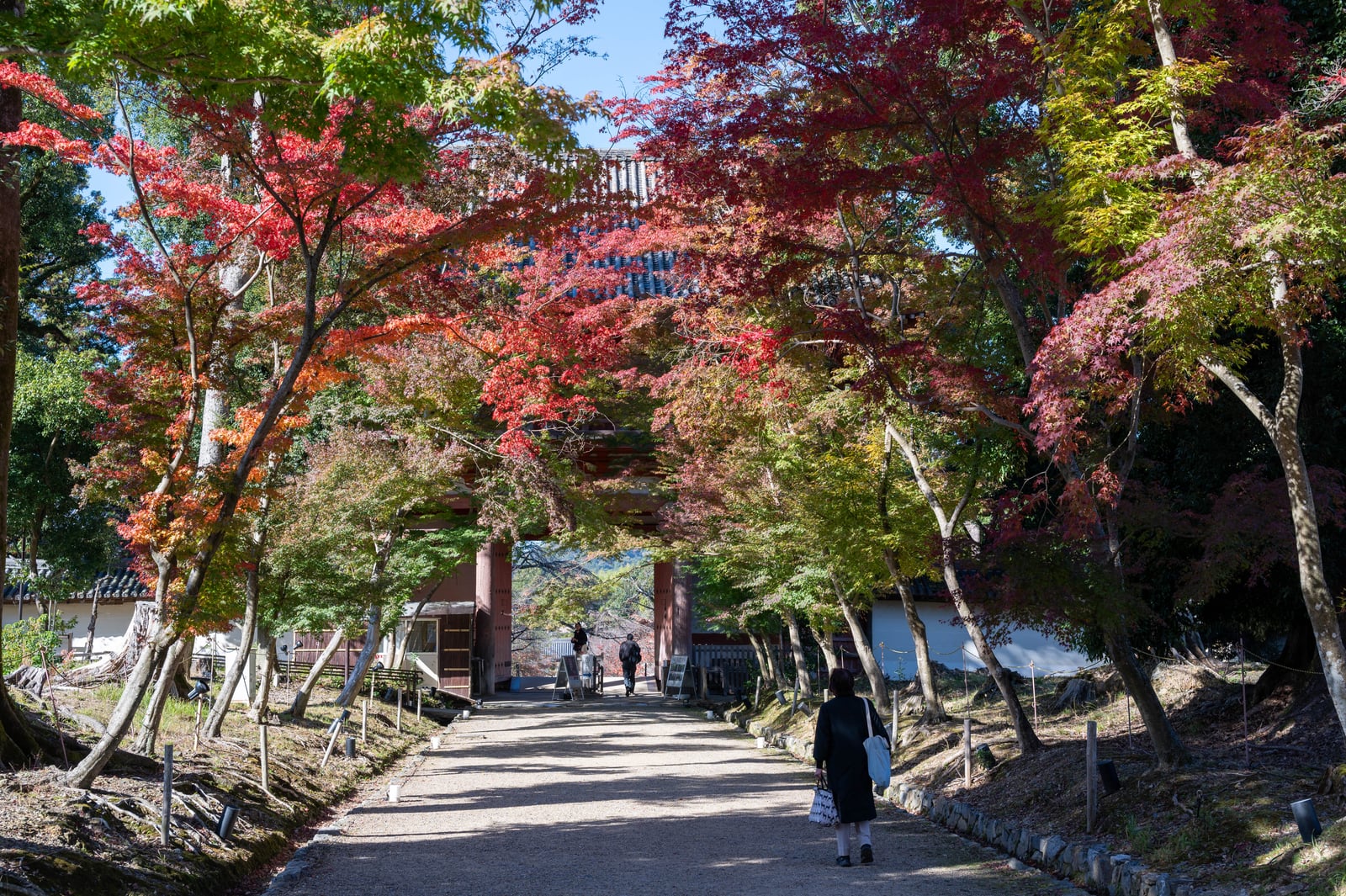 醍醐寺仁王門前的紅葉參道｜2023/11 關西賞楓