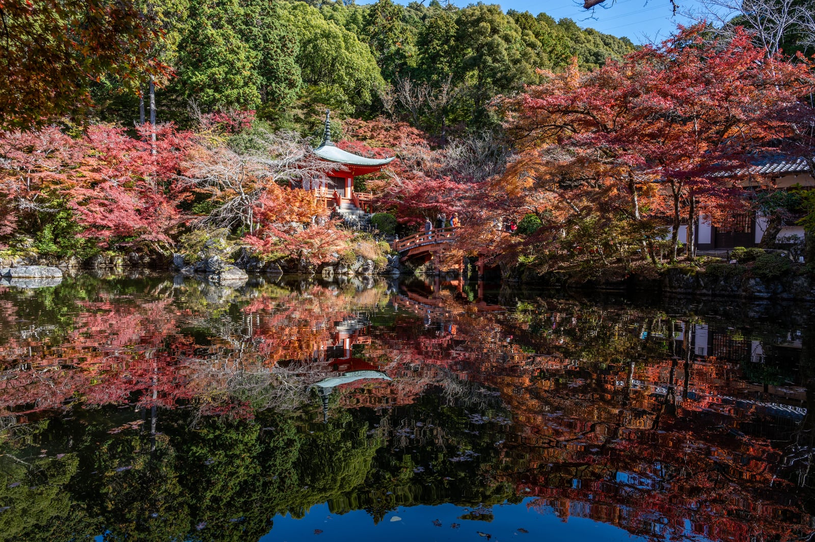 醍醐寺觀音堂的紅葉倒影｜2023/11 關西賞楓