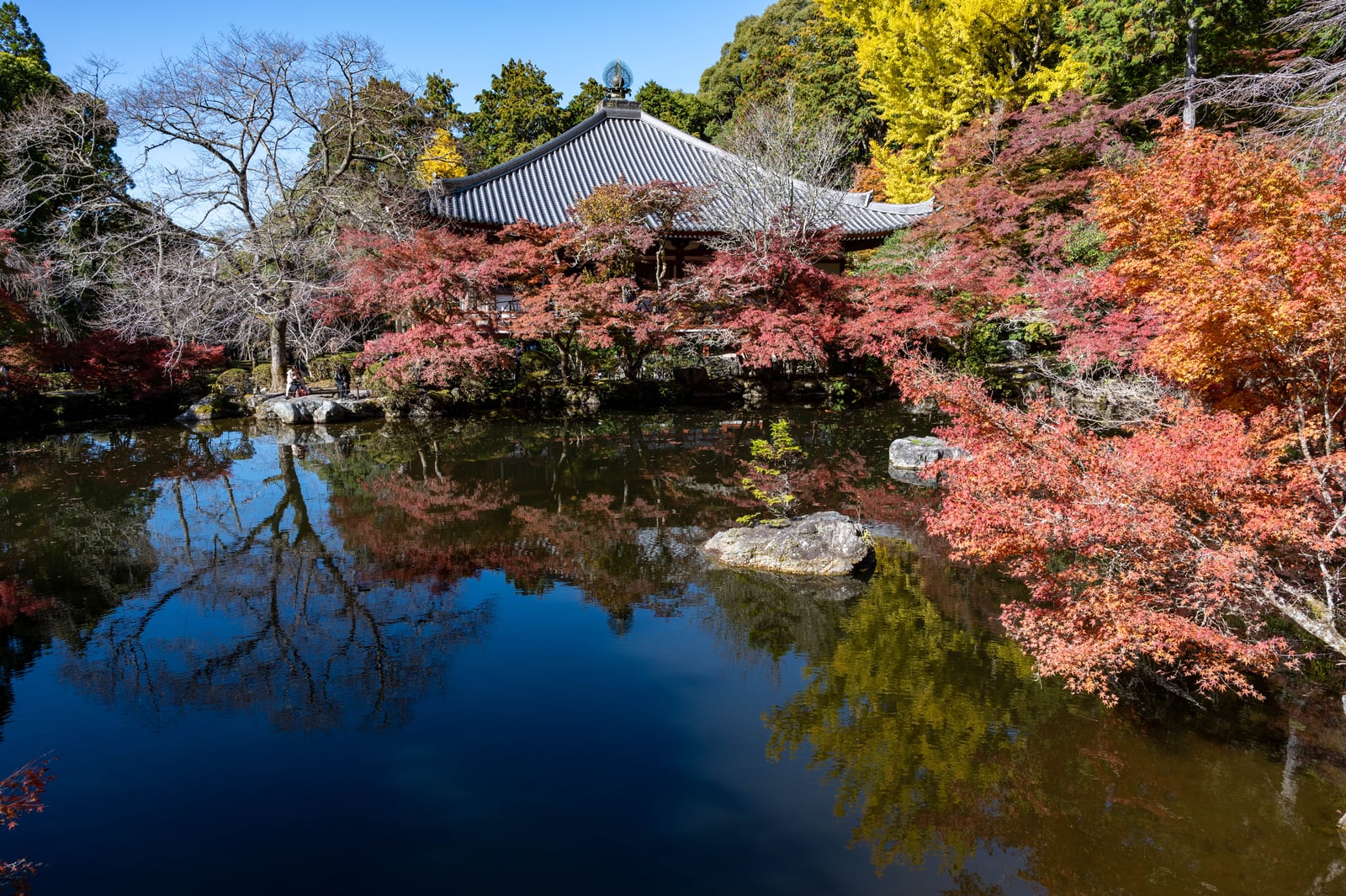 醍醐寺觀音堂的紅葉倒影｜2023/11 關西賞楓