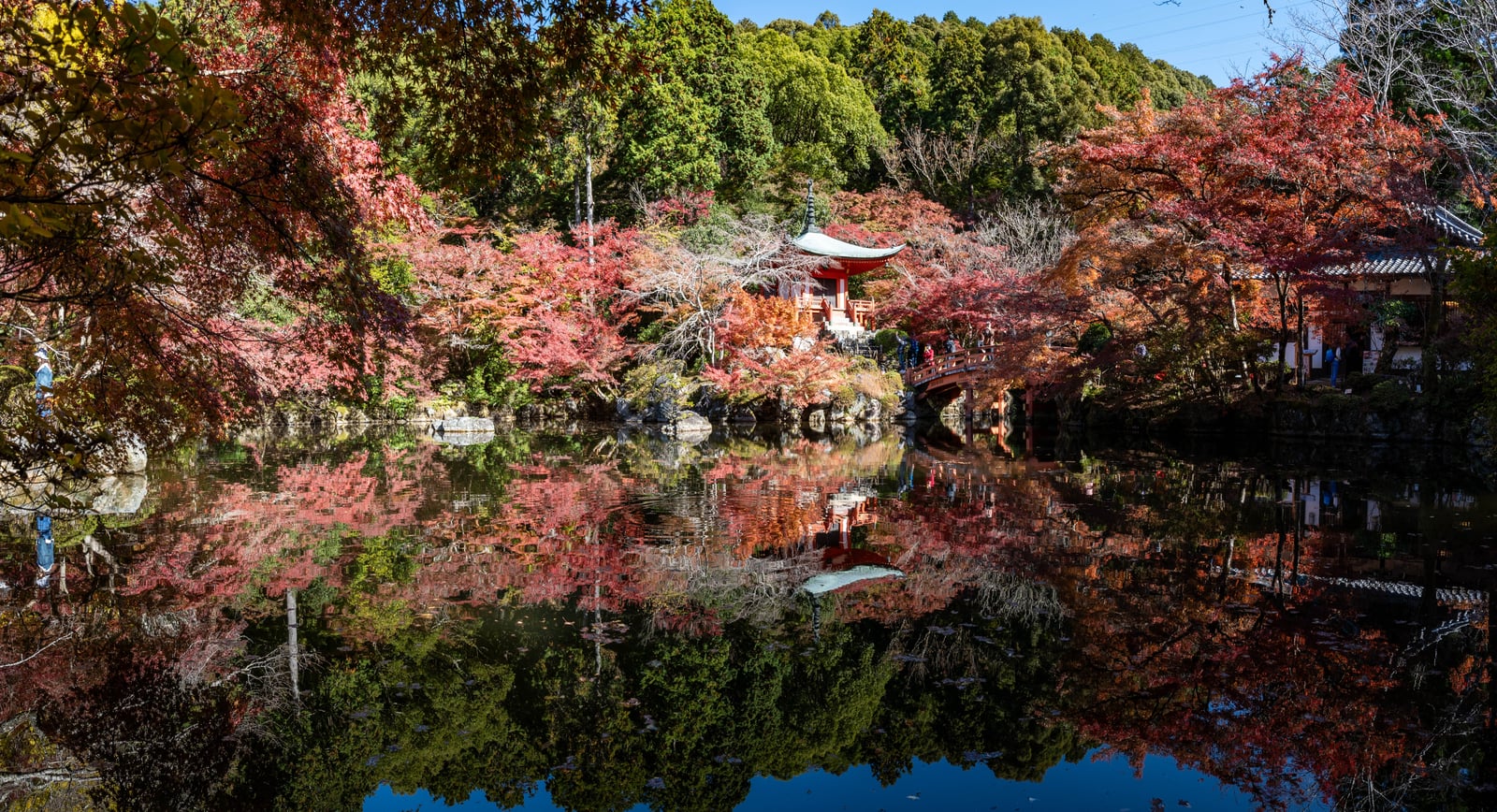 醍醐寺觀音堂的紅葉倒影｜2023/11 關西賞楓