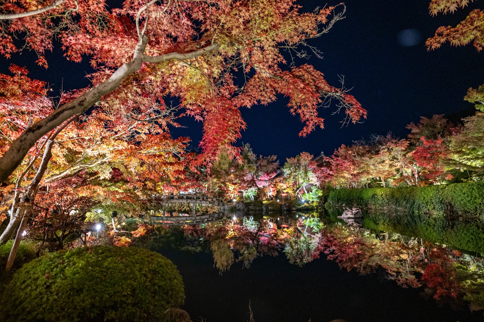 悲田の梅，夜色下的紅葉倒影｜2023/11 關西賞楓