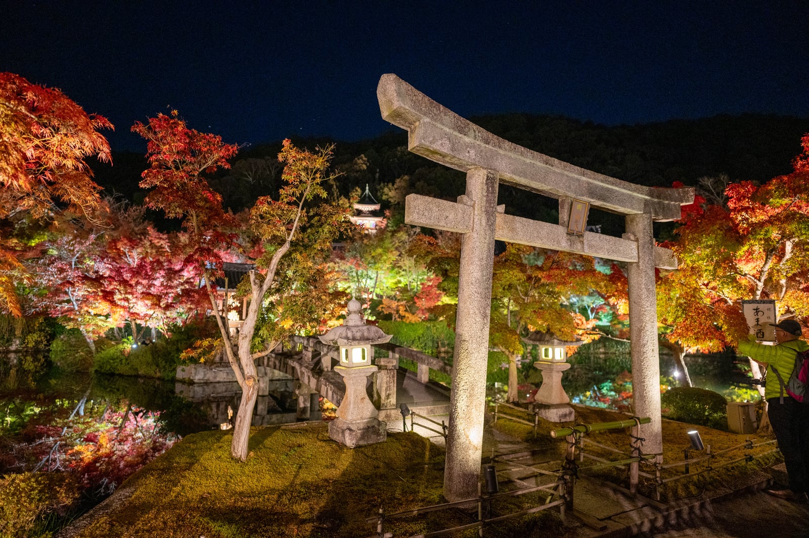 悲田の梅，夜色下的楓紅倒影｜2023/11 關西賞楓