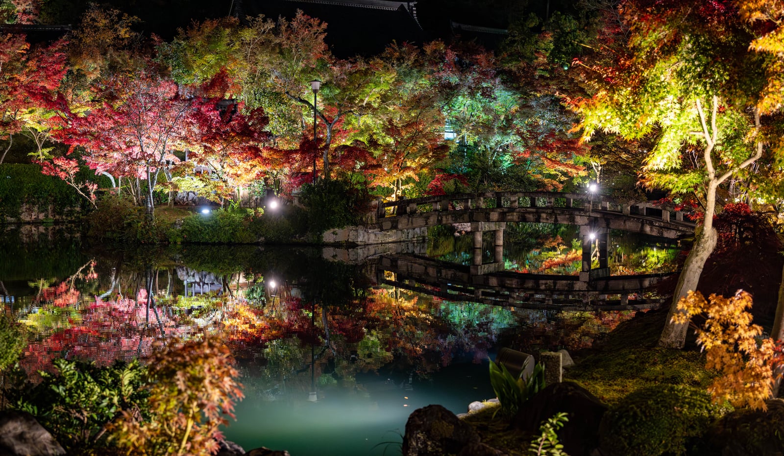 永觀堂禪林寺夜楓與倒影｜2023/11 關西賞楓