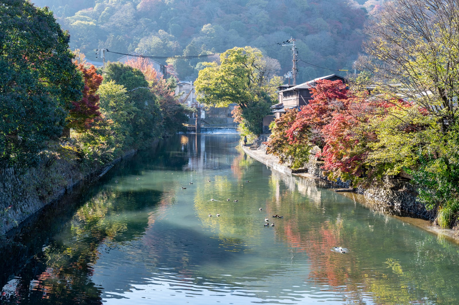 京嵐山亭畔的秋日溪流與紅葉｜2023/11 關西賞楓
