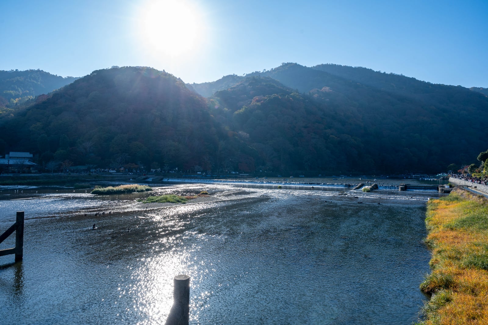 大堰川畔的秋日暖陽與山色｜2023/11 關西賞楓