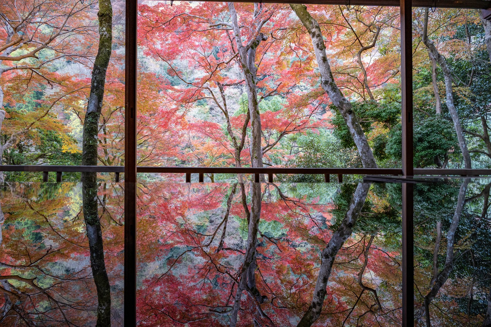 嵐山龜山公園的楓紅鏡面倒影｜2023/11 關西賞楓