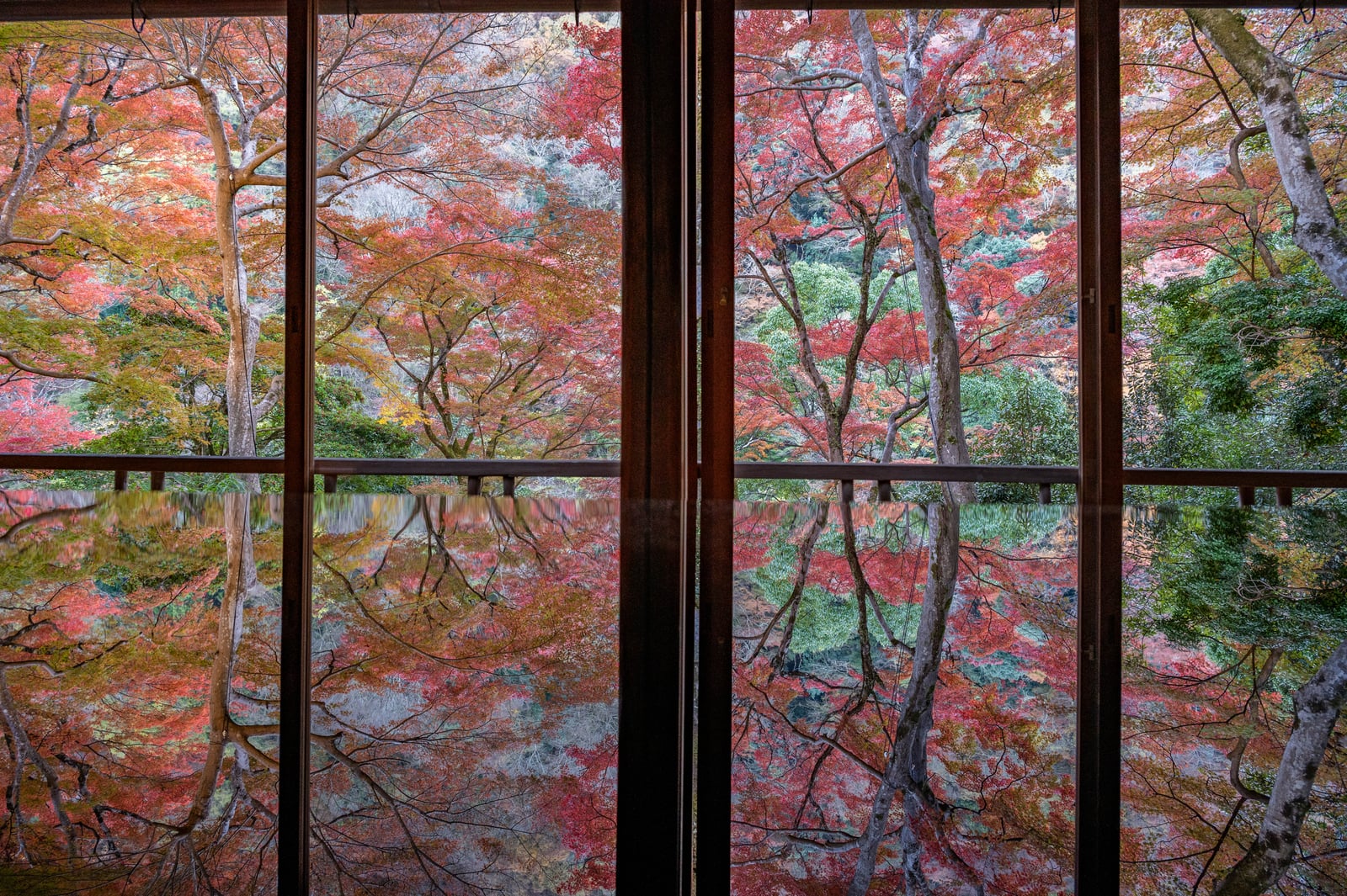 嵐山龜山地區的窗景紅葉倒影｜2023/11 關西賞楓