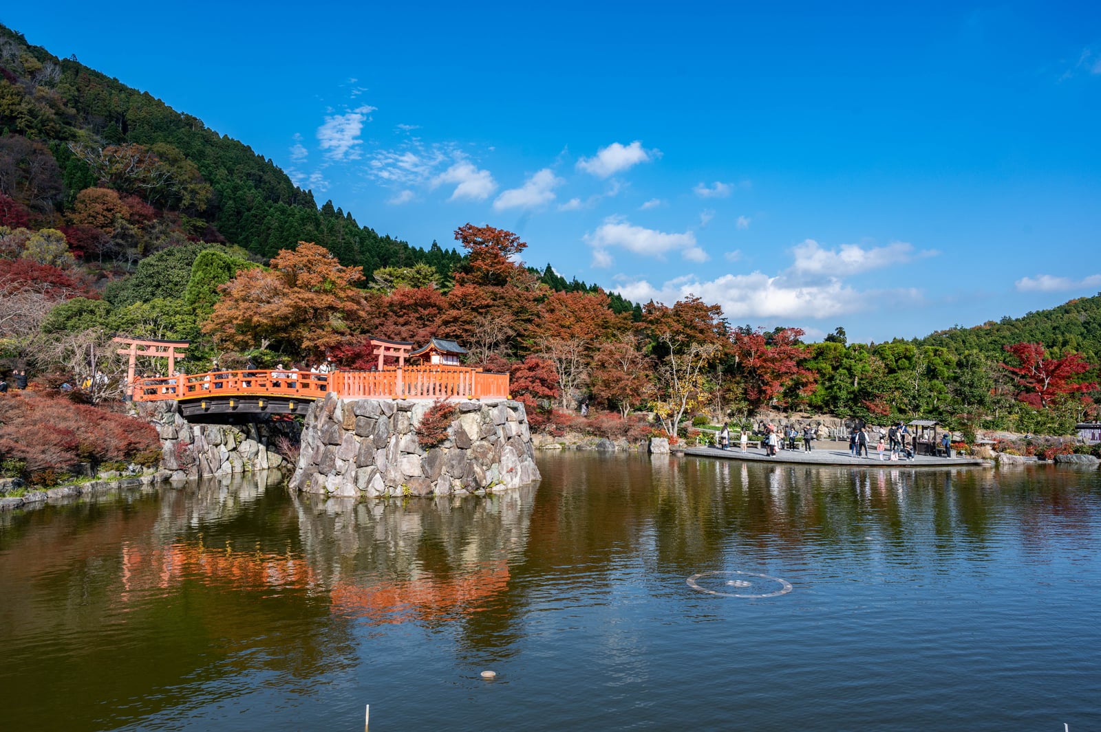 箕面公園紅葉下的朱紅拱橋｜2023/11 關西賞楓