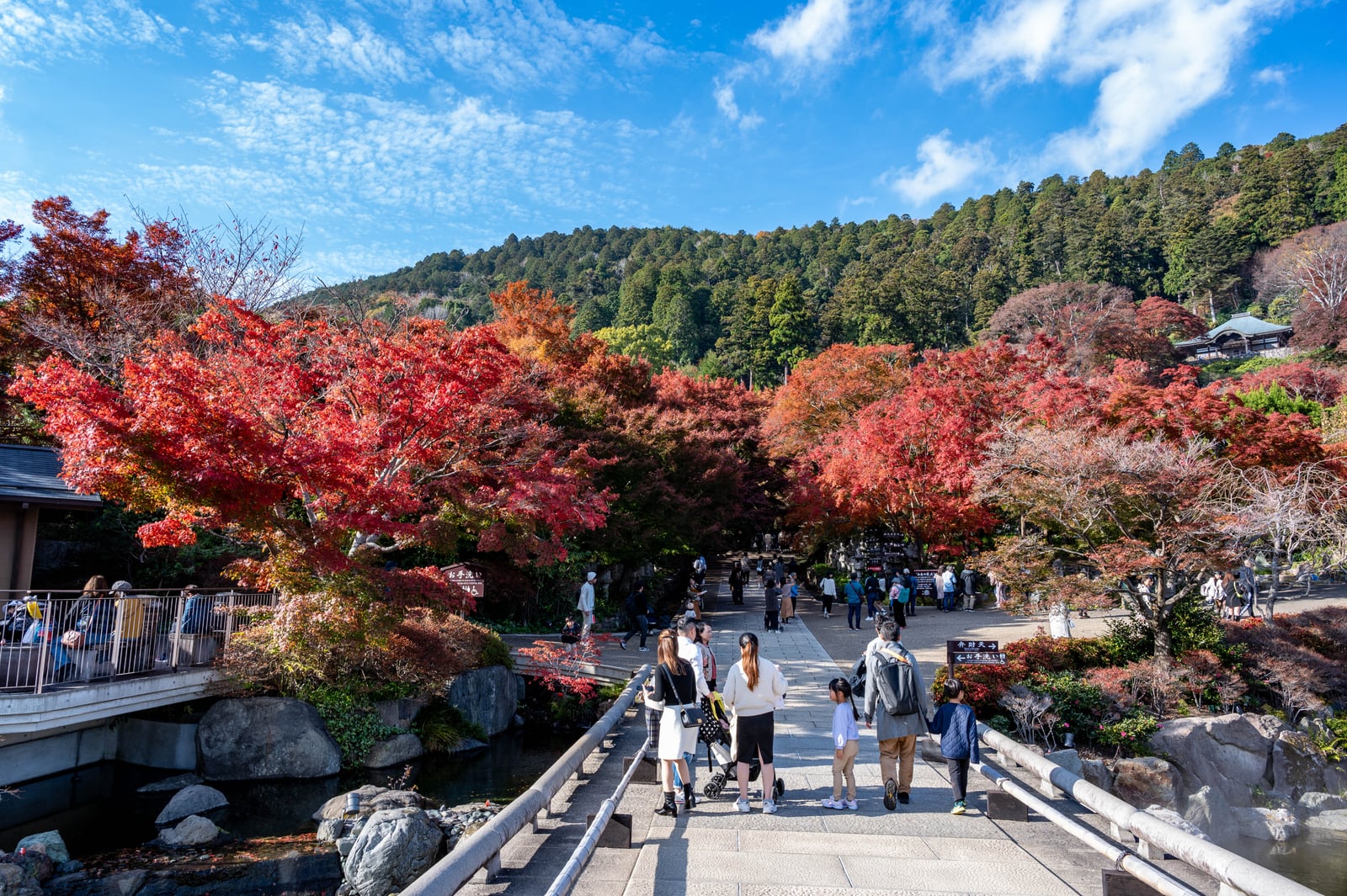 箕面山門前的紅葉漫步｜2023/11 關西賞楓