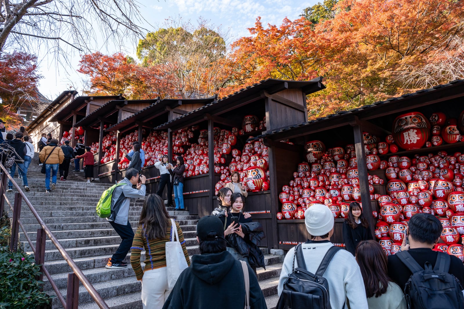 勝尾寺奉納棚，滿載祈願的紅色達摩｜2023/11 關西賞楓