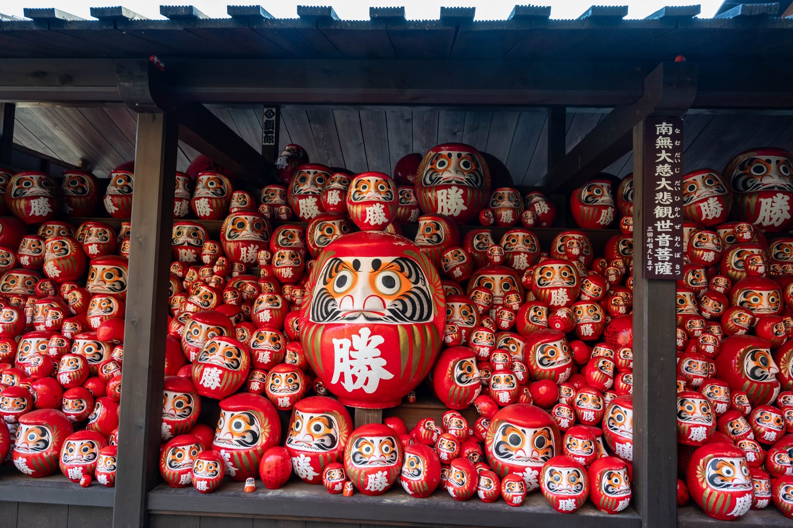 箕面勝尾寺的滿牆祈願達摩｜2023/11 關西賞楓