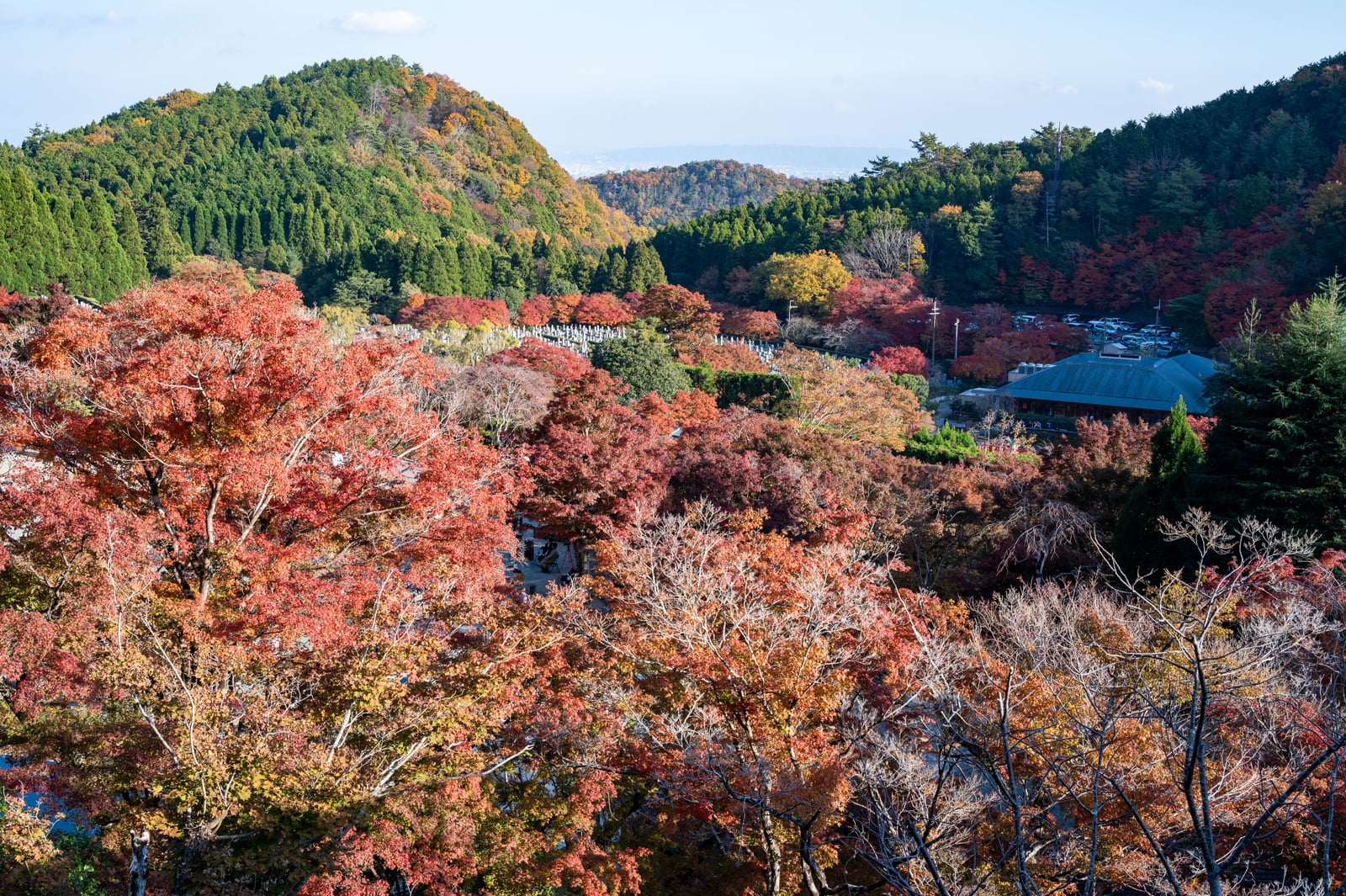 箕面勝尾寺的紅葉山谷景致｜2023/11 關西賞楓