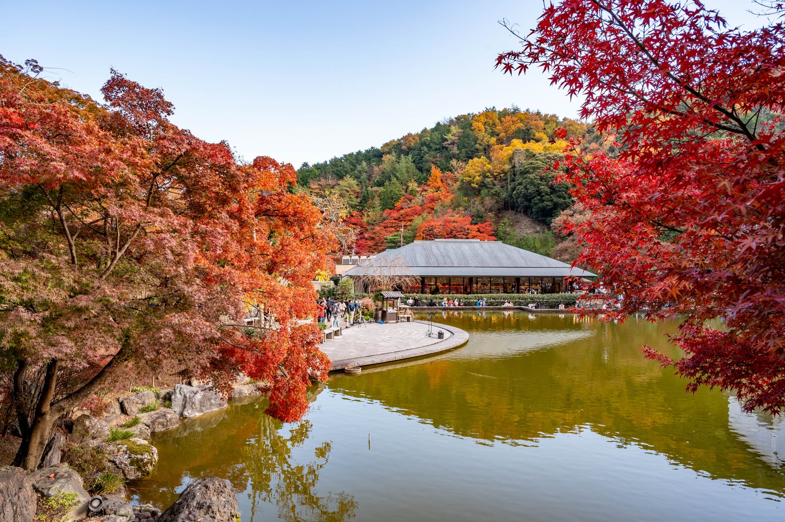 箕面公園知恵の環畔的紅葉盛景｜2023/11 關西賞楓