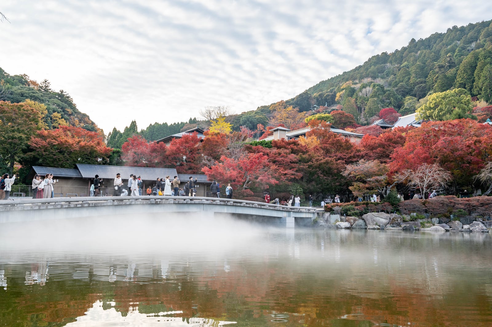 箕面公園勅使門前的紅葉與晨霧｜2023/11 關西賞楓