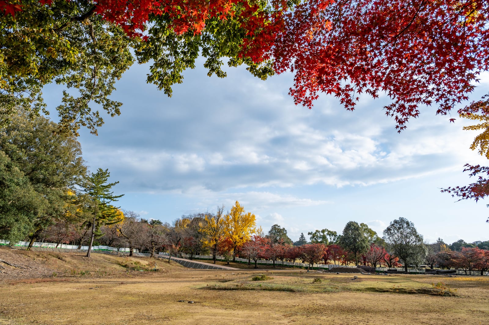 東大寺鐘樓旁的秋日紅葉框景｜2023/11 關西賞楓