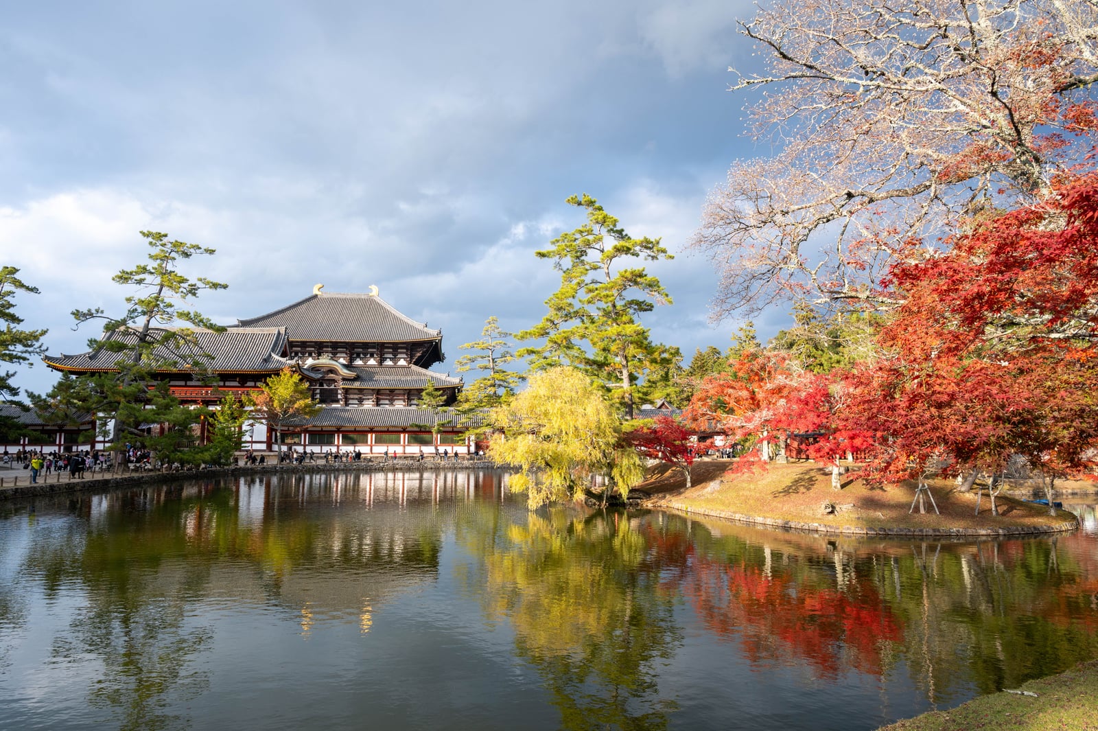 鏡池畔的東大寺秋色與紅葉倒影｜2023/11 關西賞楓
