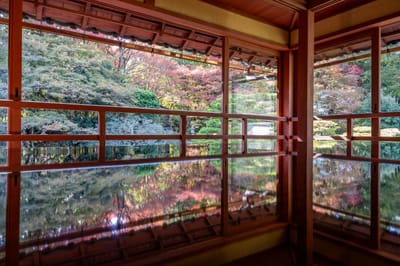 舊竹林院的絕美楓紅鏡面倒影｜2023/11 關西賞楓