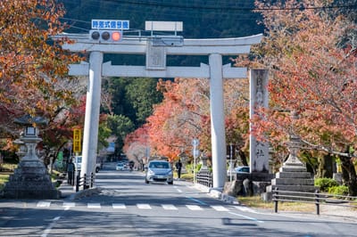 大將軍神社鳥居與秋日紅葉景致｜2023/11 關西賞楓