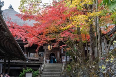 石山寺秋色，紅葉掩映下的古剎風情｜2023/11 關西賞楓