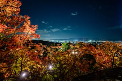鹿間塚楓紅與京都市區璀璨夜景｜2023/11 關西賞楓