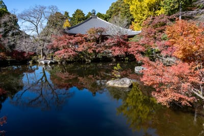 醍醐寺觀音堂的紅葉倒影