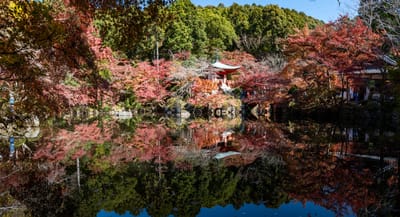 醍醐寺觀音堂的紅葉倒影