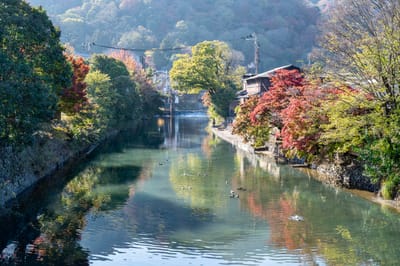 京嵐山亭畔的秋日溪流與紅葉