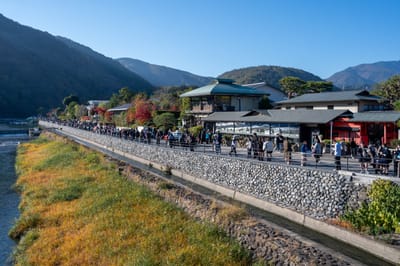 大堰川畔的秋日漫步人潮