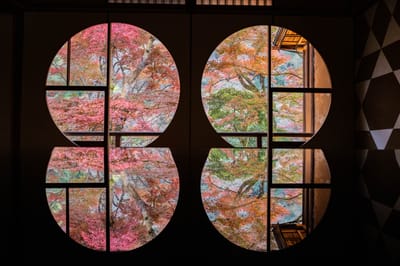嵐山龜山公園的圓窗楓景