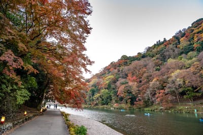 嵐山公園龜山地區的紅葉河畔步道