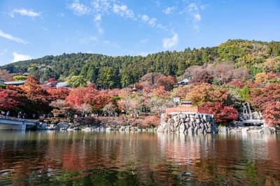 箕面山瀧安寺的秋日紅葉倒影
