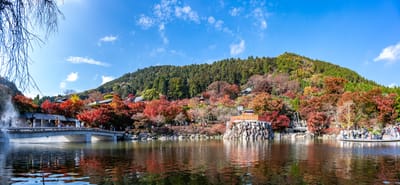 箕面山瀧安寺的秋日紅葉全景