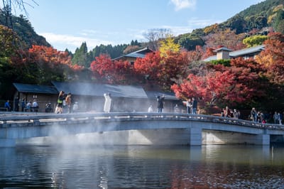 箕面公園山門前的紅葉與薄霧