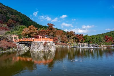 箕面公園紅葉下的朱紅拱橋
