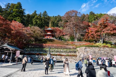箕面勝尾寺的紅葉與寶塔風光
