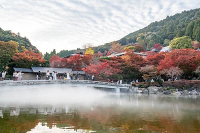 箕面公園勅使門前的紅葉與晨霧