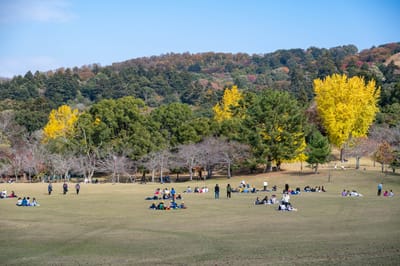 睡神社周邊的秋日草地野餐時光