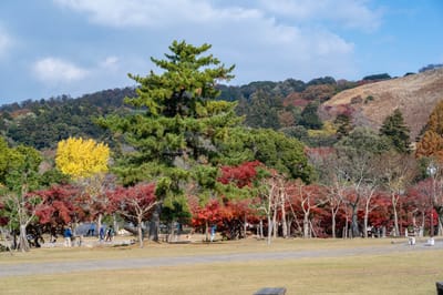 浮雲園地的秋日紅葉與金黃銀杏