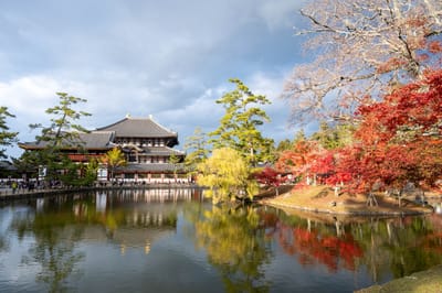 鏡池畔的東大寺秋色與紅葉倒影
