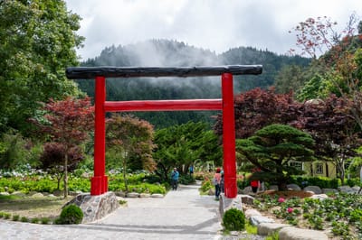 日月池紅鳥居與山林霧氣｜2024/06 杉林溪繡球花+鳳凰谷