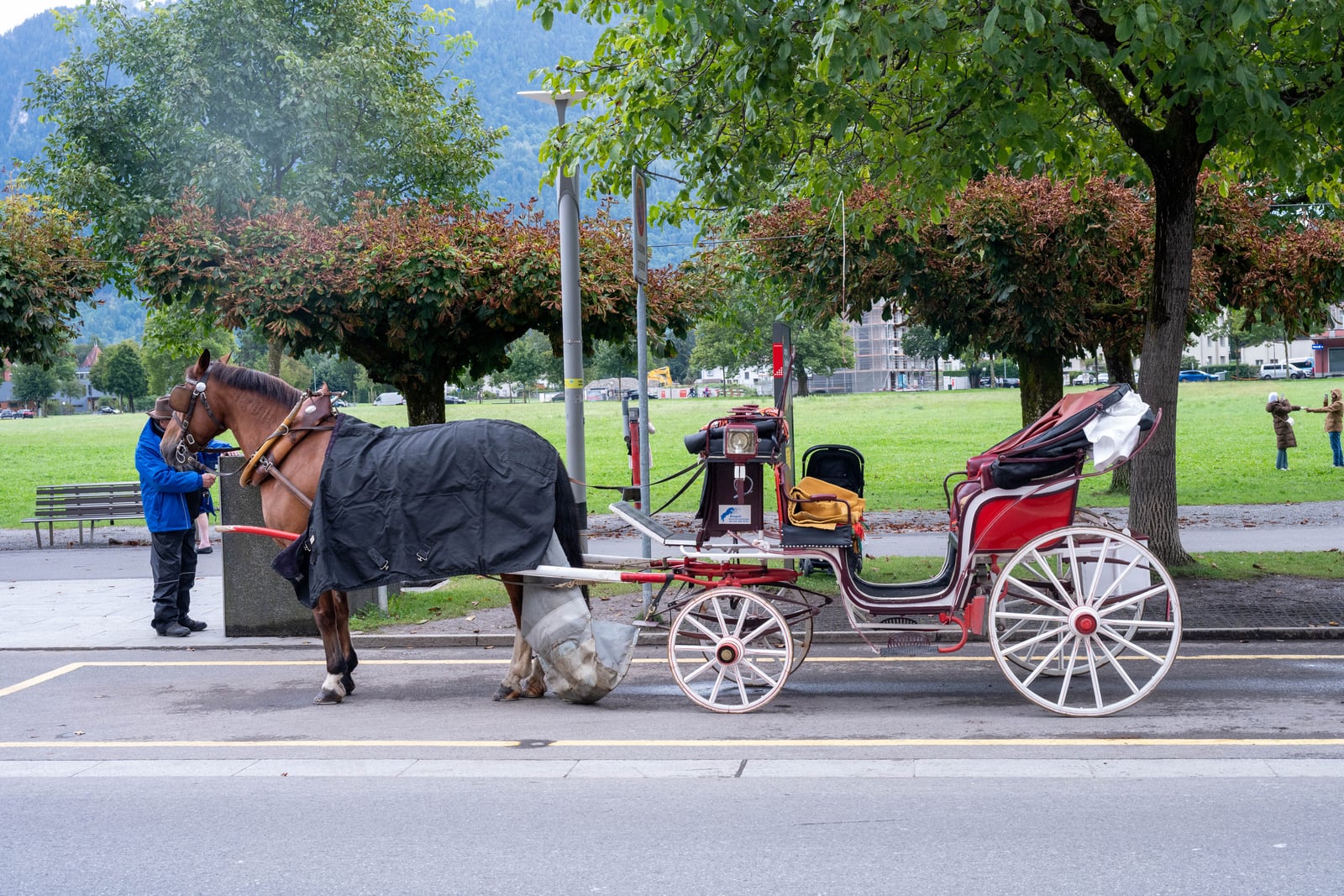因特拉肯街頭靜候的觀光馬車｜2024/09 瑞士