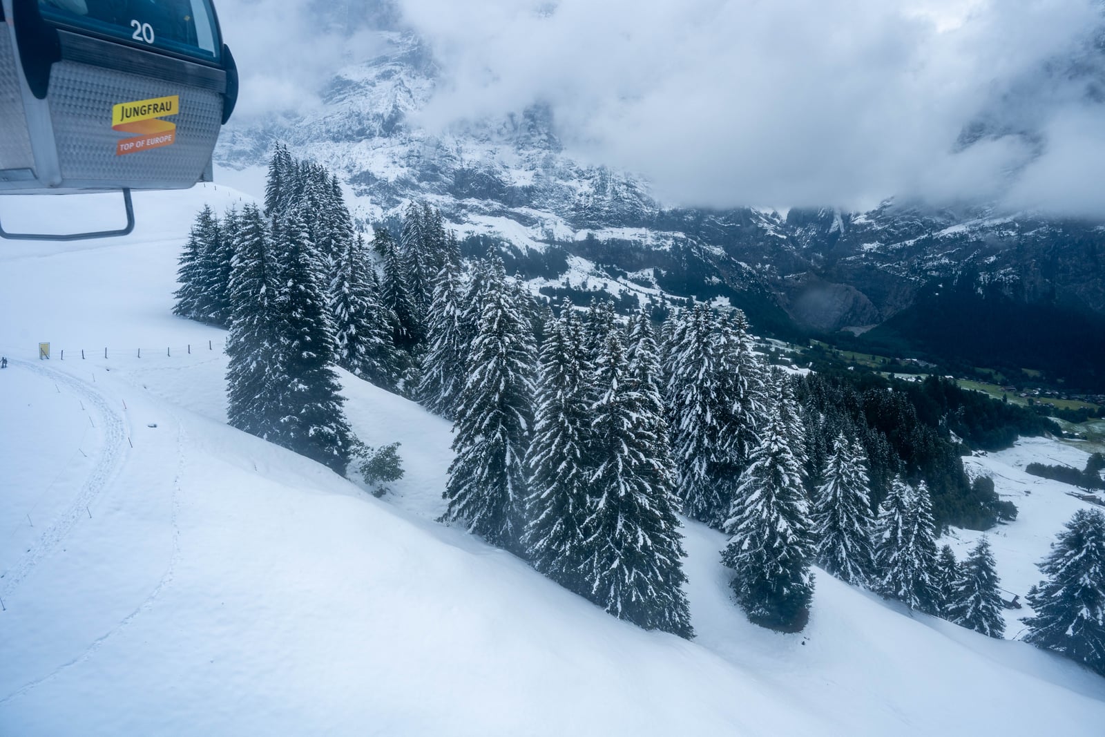 格林德瓦高山纜車俯瞰雪景林木｜2024/09 瑞士
