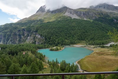阿爾卑斯山下翠綠森林與高山湖泊