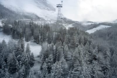 群山纜車穿梭於雪白針葉林