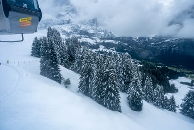 格林德瓦高山纜車俯瞰雪景林木
