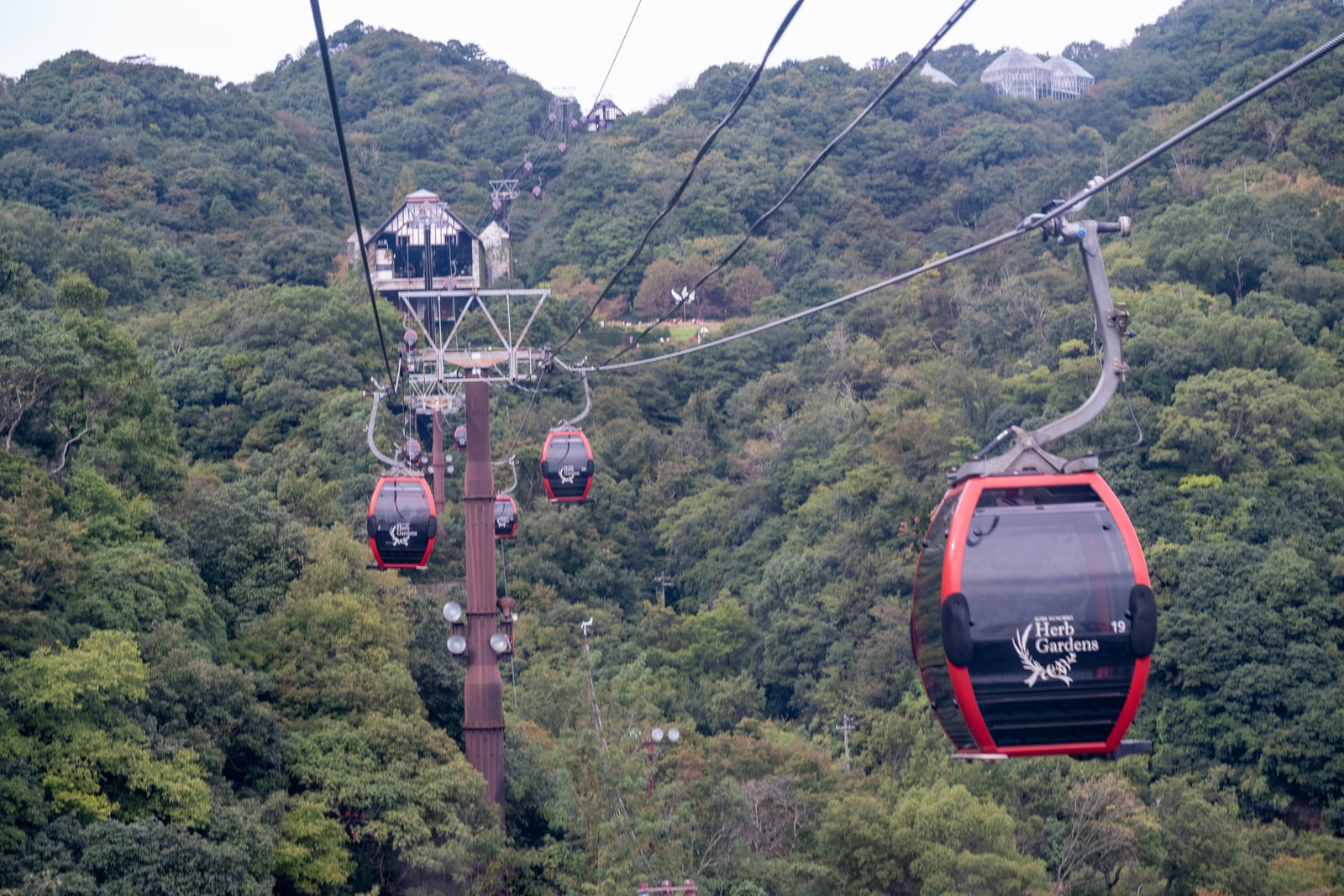 穿梭綠意山林的空中纜車｜2024/10 神戶