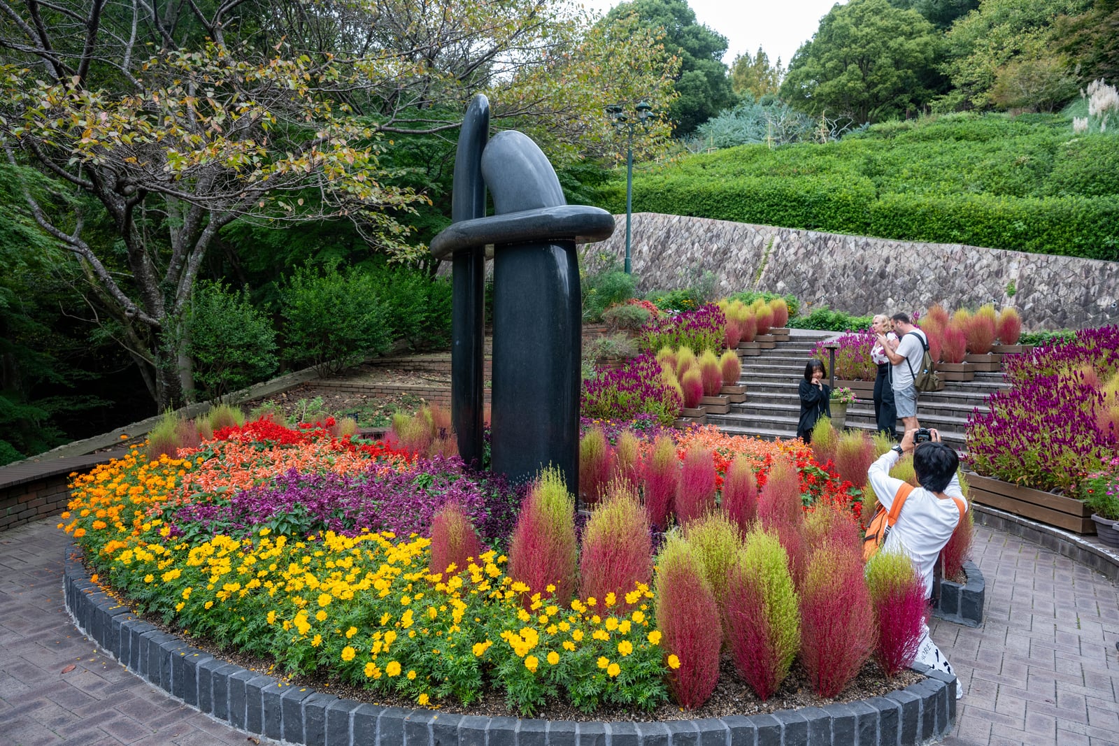 花壇中的黑色現代雕塑與掃帚草｜2024/10 神戶