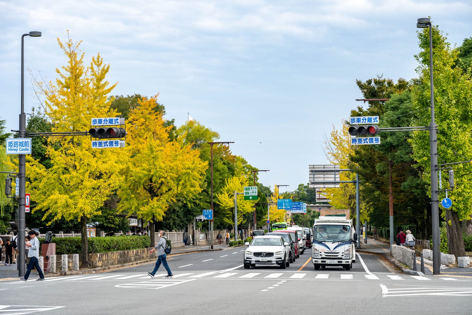 金黃銀杏點綴的姫路市街頭秋色｜2024/10 神戶
