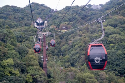 穿梭綠意山林的空中纜車｜2024/10 神戶