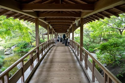 姬路城櫻門橋的木造廊道風光